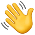 hand